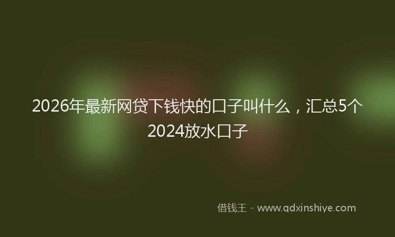 2026年最新网贷下钱快的口子叫什么，汇总5个2024放水口子