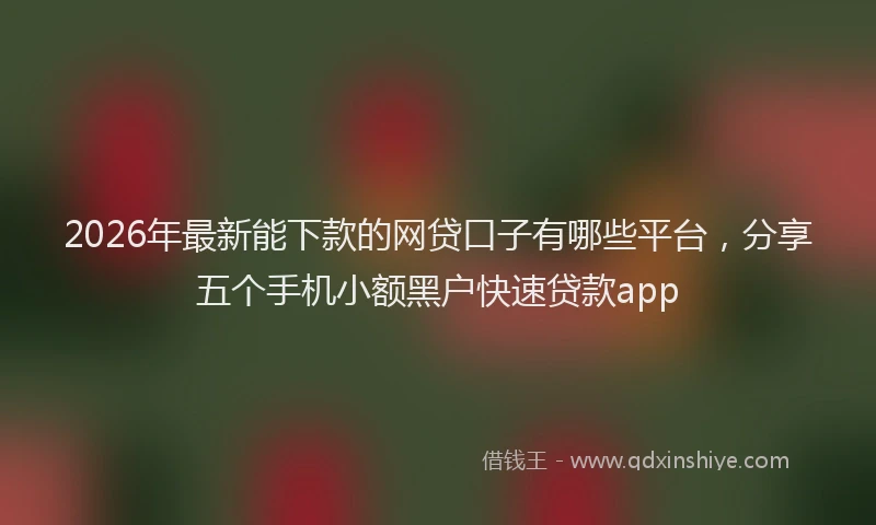 2026年最新能下款的网贷口子有哪些平台，分享五个手机小额黑户快速贷款app