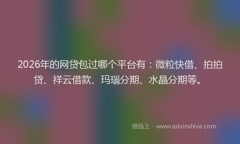 2026年的网贷包过哪个平台有：微粒快借、拍拍贷、祥云借款、玛瑙分期、水晶分期等。
