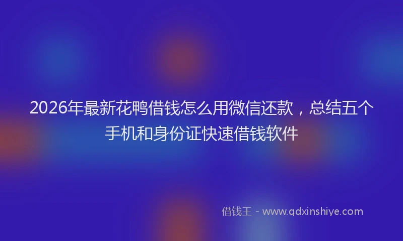 2026年最新花鸭借钱怎么用微信还款，总结五个手机和身份证快速借钱软件