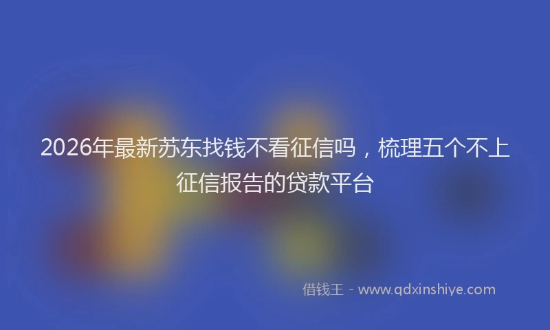 2026年最新苏东找钱不看征信吗，梳理五个不上征信报告的贷款平台