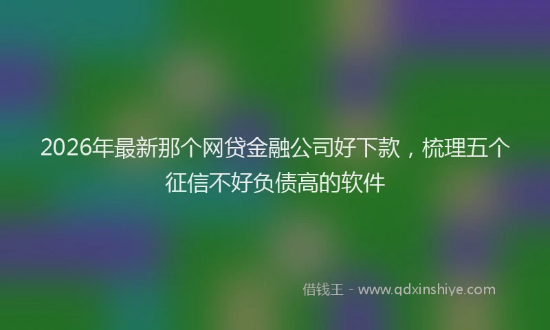 2026年最新那个网贷金融公司好下款，梳理五个征信不好负债高的软件
