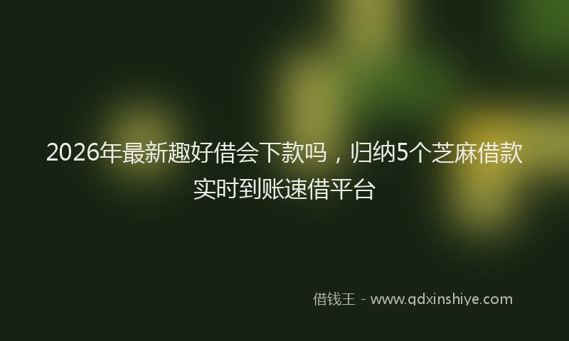 2026年最新趣好借会下款吗，归纳5个芝麻借款实时到账速借平台