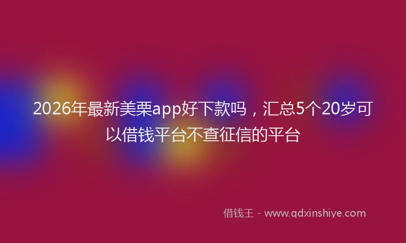 2026年最新美栗app好下款吗，汇总5个20岁可以借钱平台不查征信的平台
