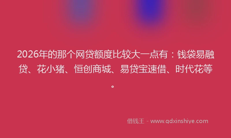 2026年的那个网贷额度比较大一点有：钱袋易融贷、花小猪、恒创商城、易贷宝速借、时代花等。
