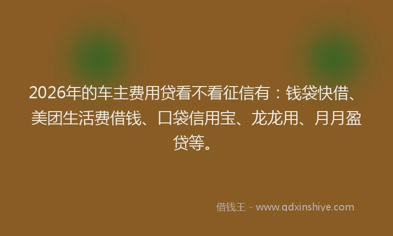 2026年的车主费用贷看不看征信有：钱袋快借、美团生活费借钱、口袋信用宝、龙龙用、月月盈贷等。