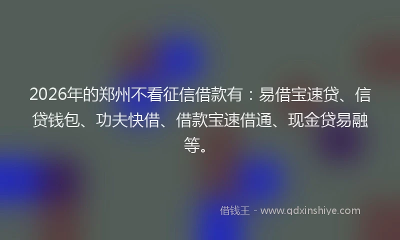 2026年的郑州不看征信借款有：易借宝速贷、信贷钱包、功夫快借、借款宝速借通、现金贷易融等。