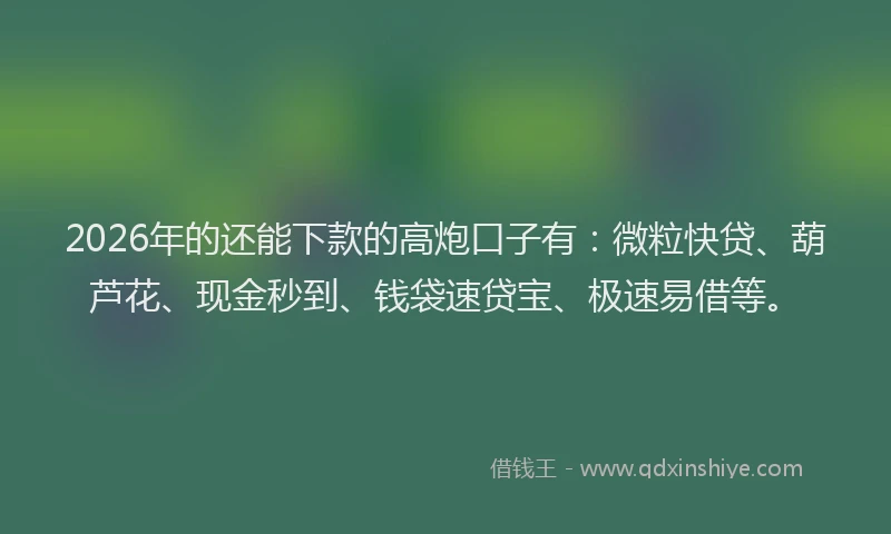 2026年的还能下款的高炮口子有：微粒快贷、葫芦花、现金秒到、钱袋速贷宝、极速易借等。