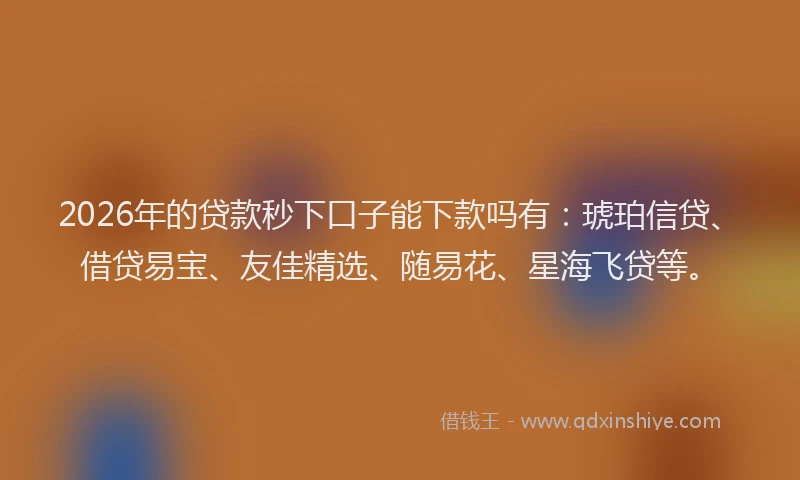 2026年的贷款秒下口子能下款吗有：琥珀信贷、借贷易宝、友佳精选、随易花、星海飞贷等。