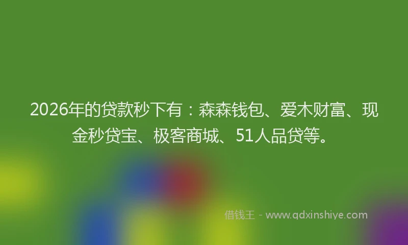 2026年的贷款秒下有：森森钱包、爱木财富、现金秒贷宝、极客商城、51人品贷等。