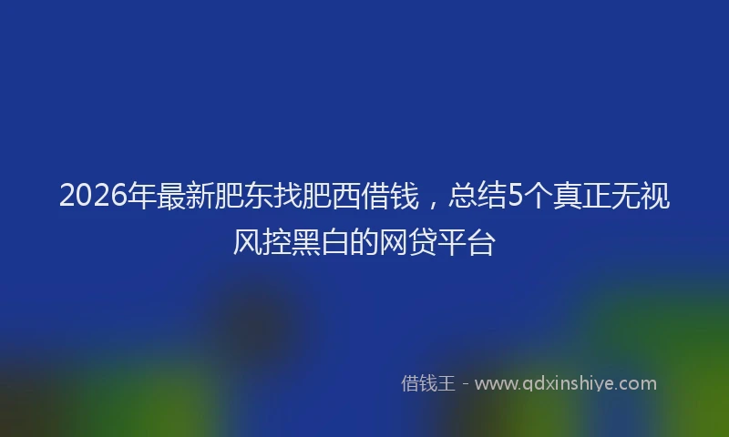 2026年最新肥东找肥西借钱，总结5个真正无视风控黑白的网贷平台