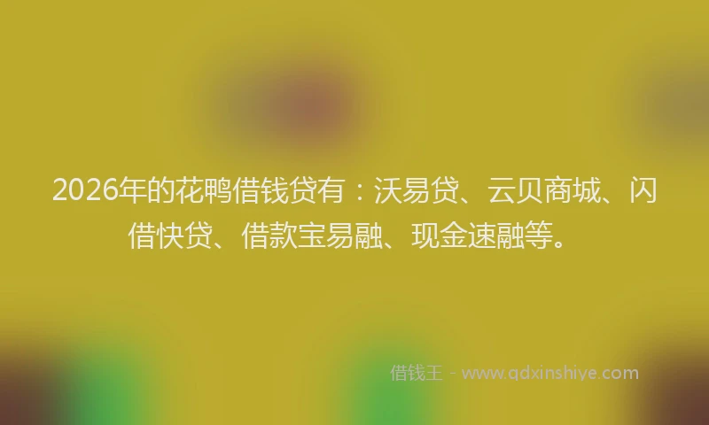 2026年的花鸭借钱贷有：沃易贷、云贝商城、闪借快贷、借款宝易融、现金速融等。