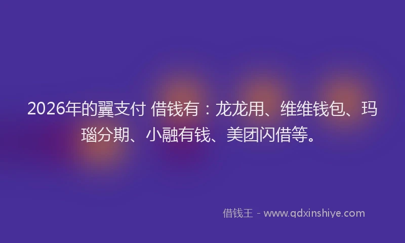 2026年的翼支付 借钱有：龙龙用、维维钱包、玛瑙分期、小融有钱、美团闪借等。