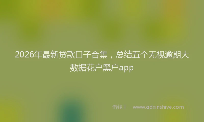 2026年最新贷款口子合集，总结五个无视逾期大数据花户黑户app
