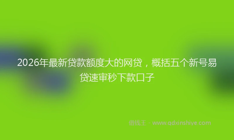 2026年最新贷款额度大的网贷，概括五个新号易贷速审秒下款口子
