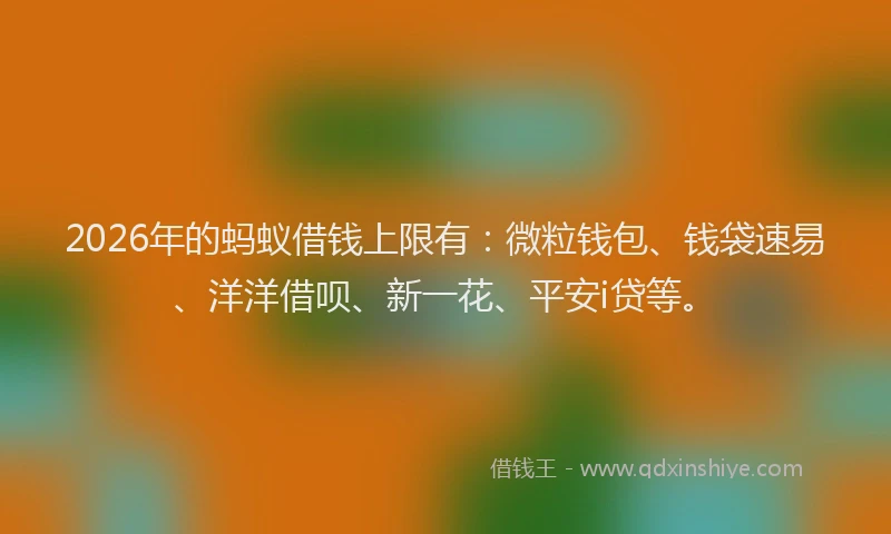 2026年的蚂蚁借钱上限有：微粒钱包、钱袋速易、洋洋借呗、新一花、平安i贷等。