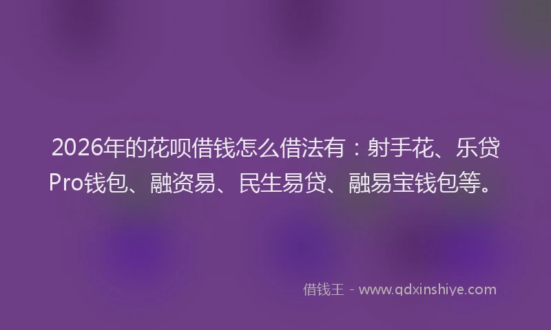 2026年的花呗借钱怎么借法有：射手花、乐贷Pro钱包、融资易、民生易贷、融易宝钱包等。