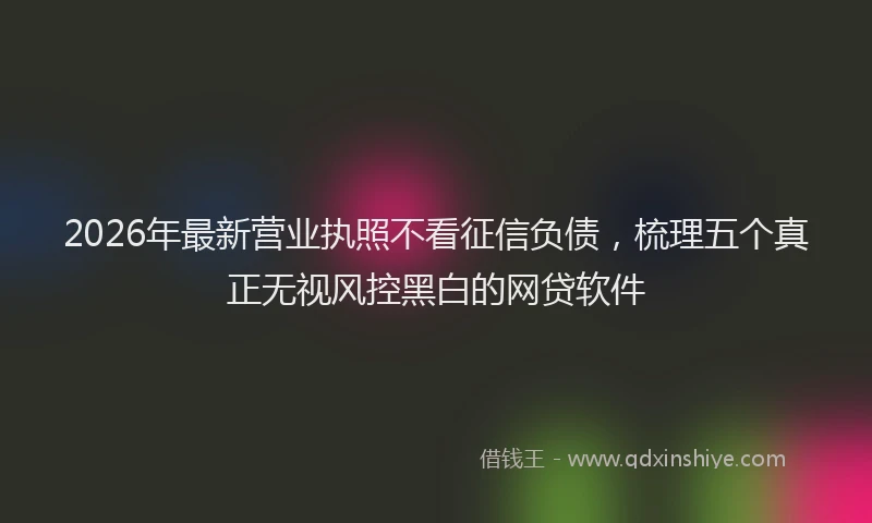 2026年最新营业执照不看征信负债，梳理五个真正无视风控黑白的网贷软件