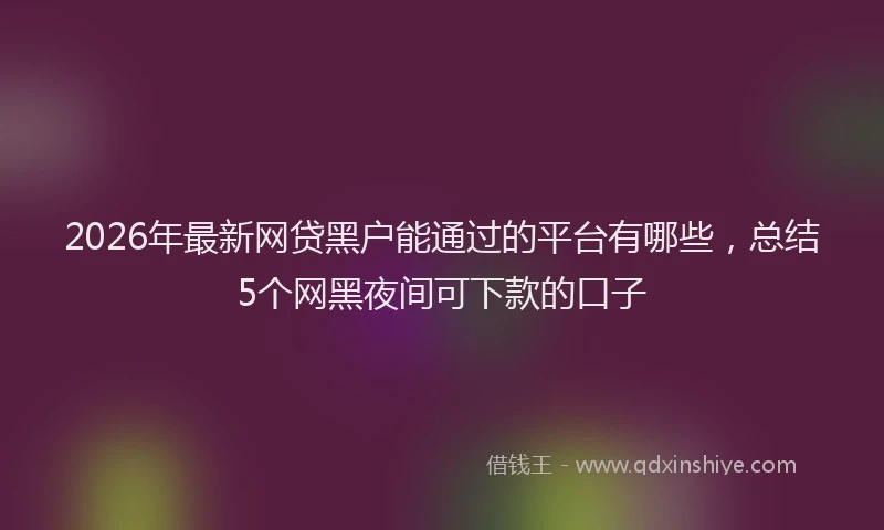 2026年最新网贷黑户能通过的平台有哪些，总结5个网黑夜间可下款的口子