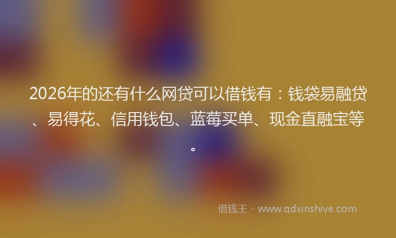 2026年的还有什么网贷可以借钱有：钱袋易融贷、易得花、信用钱包、蓝莓买单、现金直融宝等。