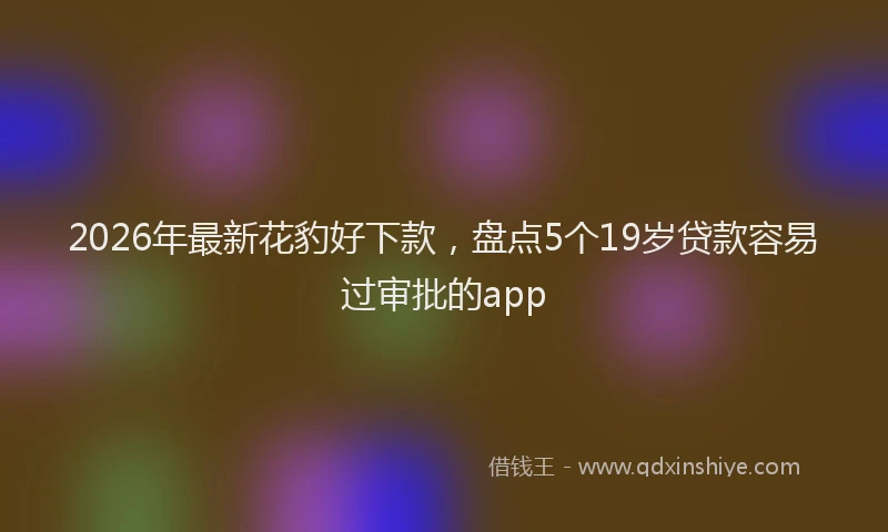 2026年最新花豹好下款，盘点5个19岁贷款容易过审批的app