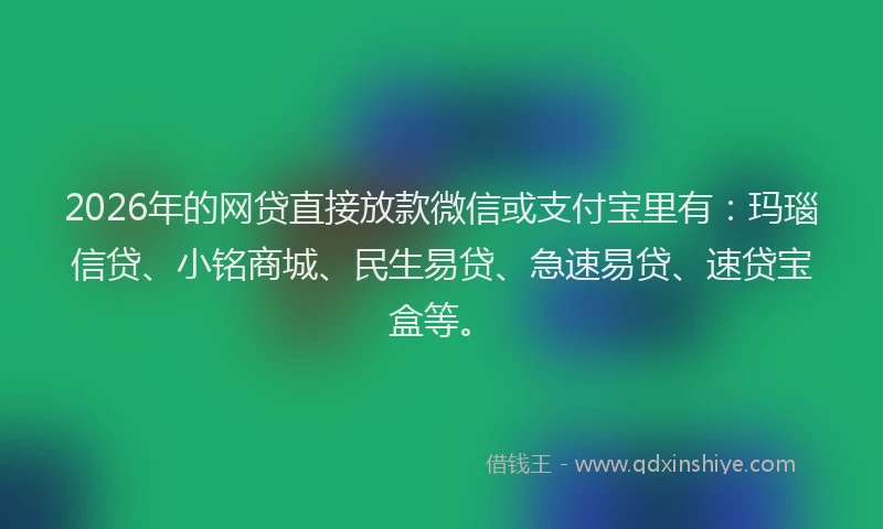 2026年的网贷直接放款微信或支付宝里有：玛瑙信贷、小铭商城、民生易贷、急速易贷、速贷宝盒等。