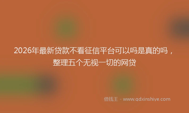 2026年最新贷款不看征信平台可以吗是真的吗，整理五个无视一切的网贷