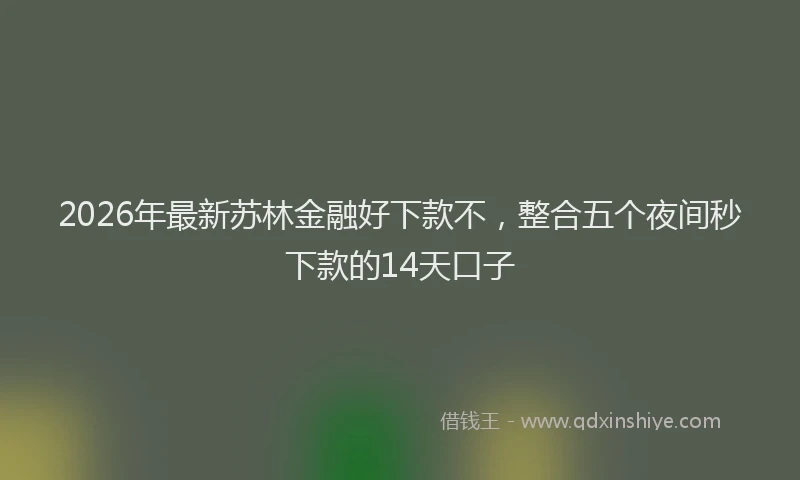 2026年最新苏林金融好下款不，整合五个夜间秒下款的14天口子