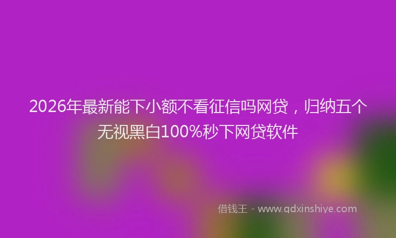 2026年最新能下小额不看征信吗网贷，归纳五个无视黑白100%秒下网贷软件