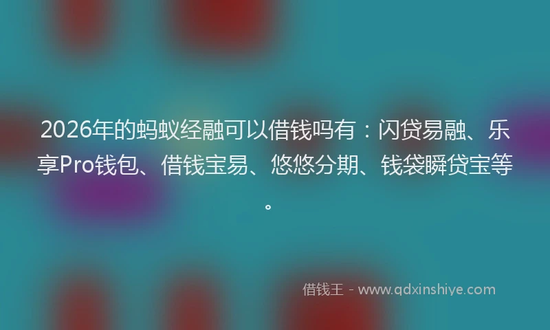 2026年的蚂蚁经融可以借钱吗有：闪贷易融、乐享Pro钱包、借钱宝易、悠悠分期、钱袋瞬贷宝等。