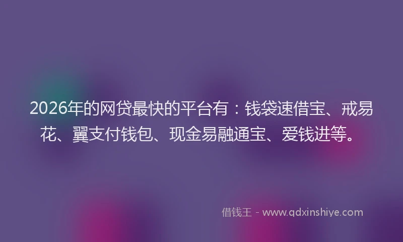 2026年的网贷最快的平台有：钱袋速借宝、戒易花、翼支付钱包、现金易融通宝、爱钱进等。