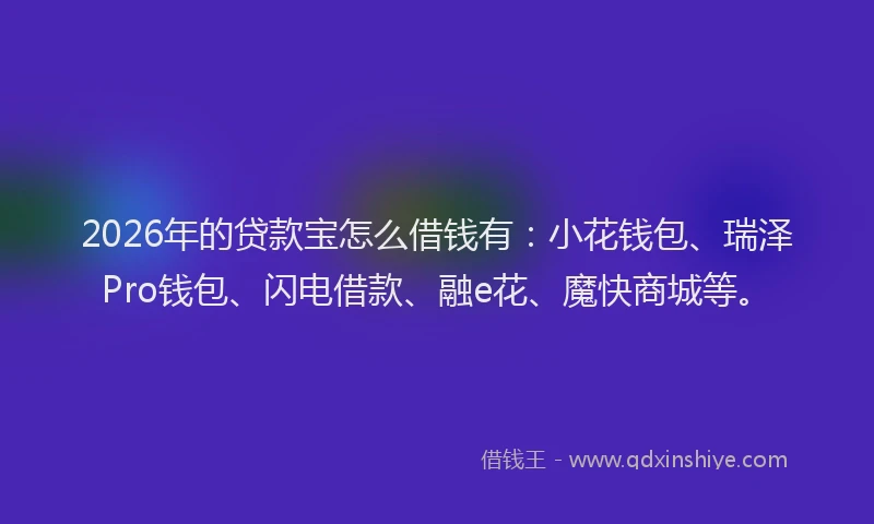 2026年的贷款宝怎么借钱有：小花钱包、瑞泽Pro钱包、闪电借款、融e花、魔快商城等。