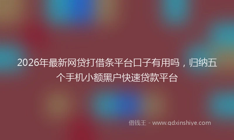 2026年最新网贷打借条平台口子有用吗，归纳五个手机小额黑户快速贷款平台