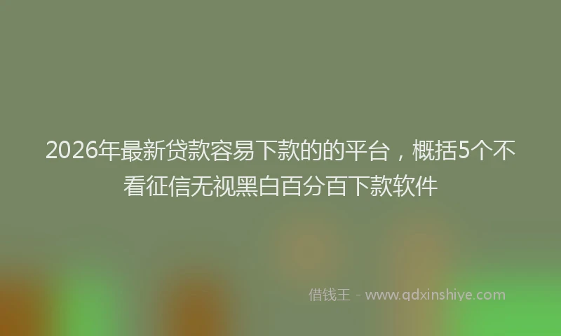 2026年最新贷款容易下款的的平台，概括5个不看征信无视黑白百分百下款软件