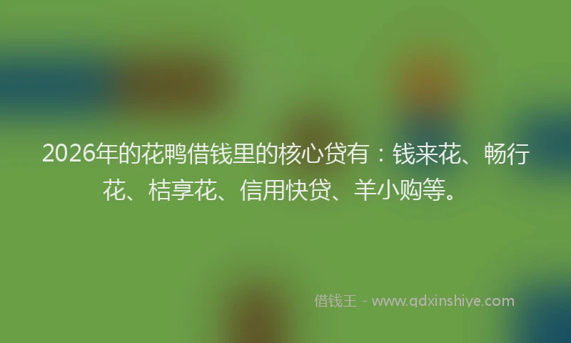 2026年的花鸭借钱里的核心贷有：钱来花、畅行花、桔享花、信用快贷、羊小购等。