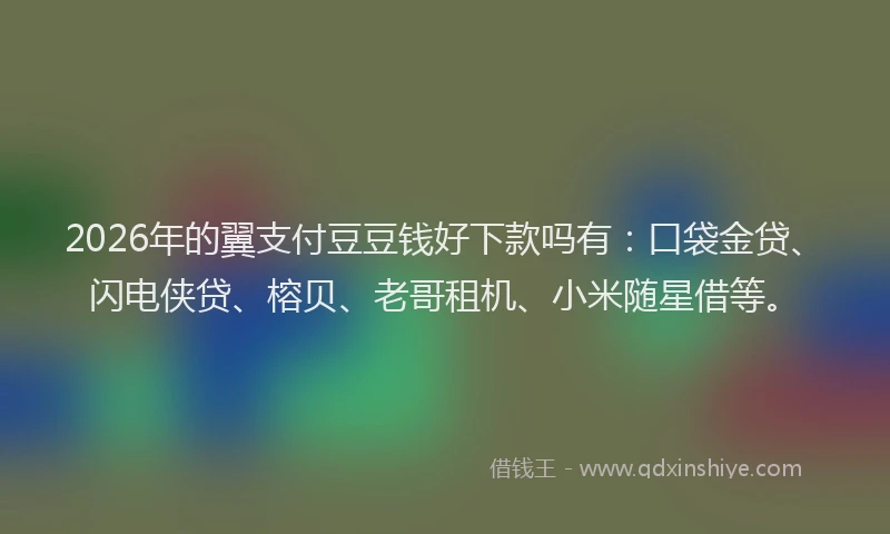 2026年的翼支付豆豆钱好下款吗有：口袋金贷、闪电侠贷、榕贝、老哥租机、小米随星借等。