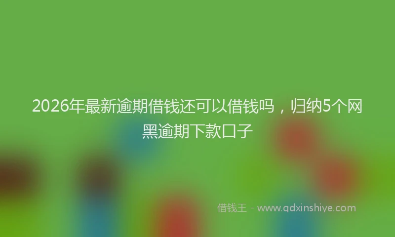 2026年最新逾期借钱还可以借钱吗，归纳5个网黑逾期下款口子