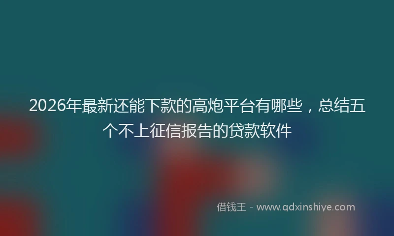 2026年最新还能下款的高炮平台有哪些，总结五个不上征信报告的贷款软件