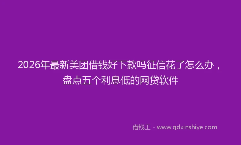 2026年最新美团借钱好下款吗征信花了怎么办，盘点五个利息低的网贷软件