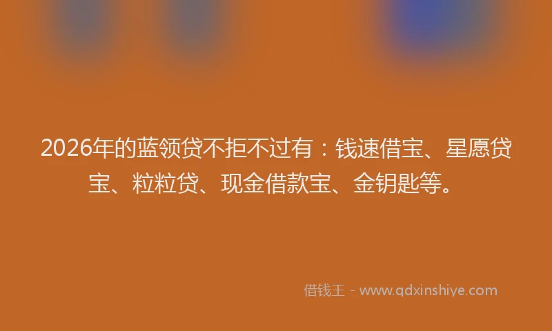 2026年的蓝领贷不拒不过有：钱速借宝、星愿贷宝、粒粒贷、现金借款宝、金钥匙等。