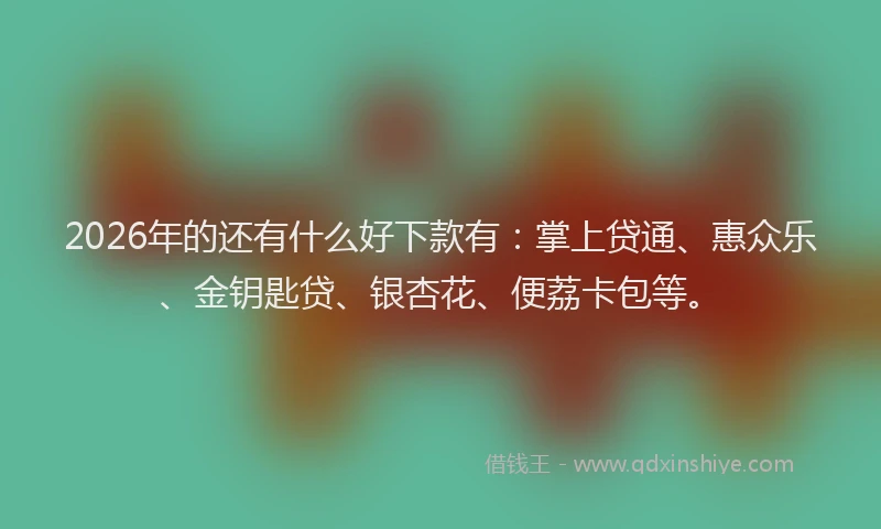 2026年的还有什么好下款有：掌上贷通、惠众乐、金钥匙贷、银杏花、便荔卡包等。