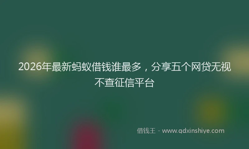 2026年最新蚂蚁借钱谁最多，分享五个网贷无视不查征信平台
