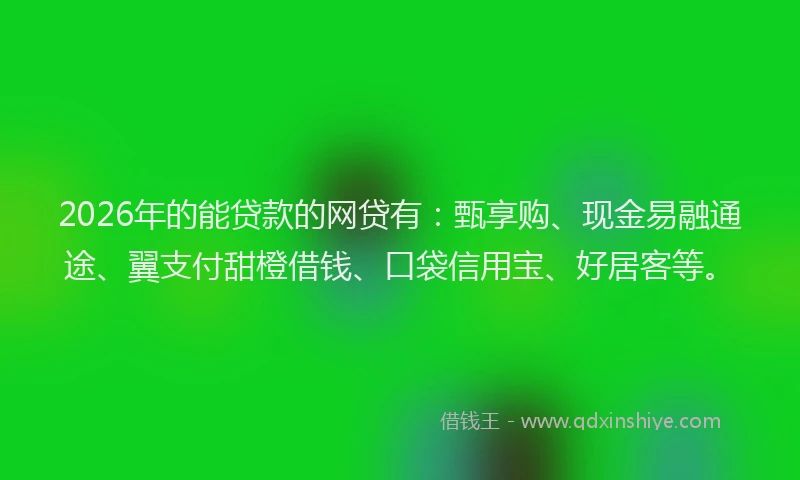 2026年的能贷款的网贷有：甄享购、现金易融通途、翼支付甜橙借钱、口袋信用宝、好居客等。