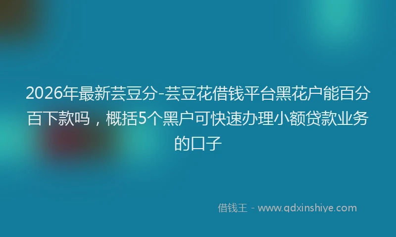 2026年最新芸豆分-芸豆花借钱平台黑花户能百分百下款吗，概括5个黑户可快速办理小额贷款业务的口子