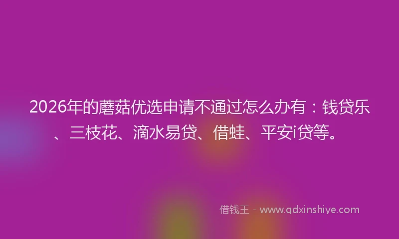 2026年的蘑菇优选申请不通过怎么办有：钱贷乐、三枝花、滴水易贷、借蛙、平安i贷等。