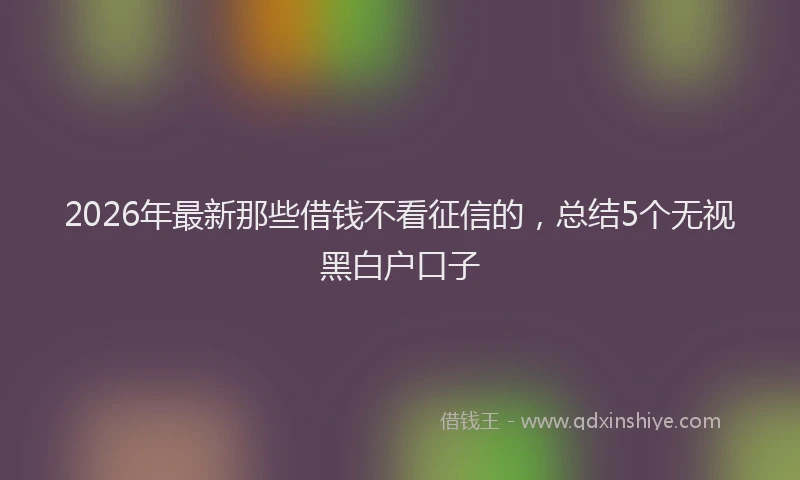 2026年最新那些借钱不看征信的，总结5个无视黑白户口子