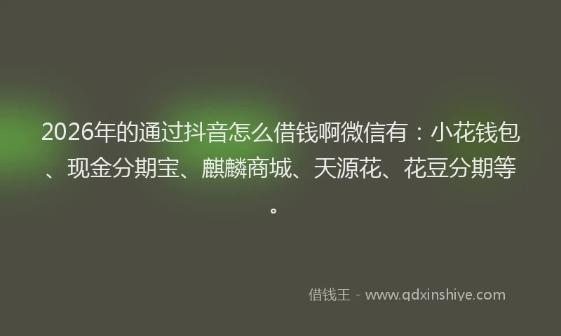 2026年的通过抖音怎么借钱啊微信有：小花钱包、现金分期宝、麒麟商城、天源花、花豆分期等。