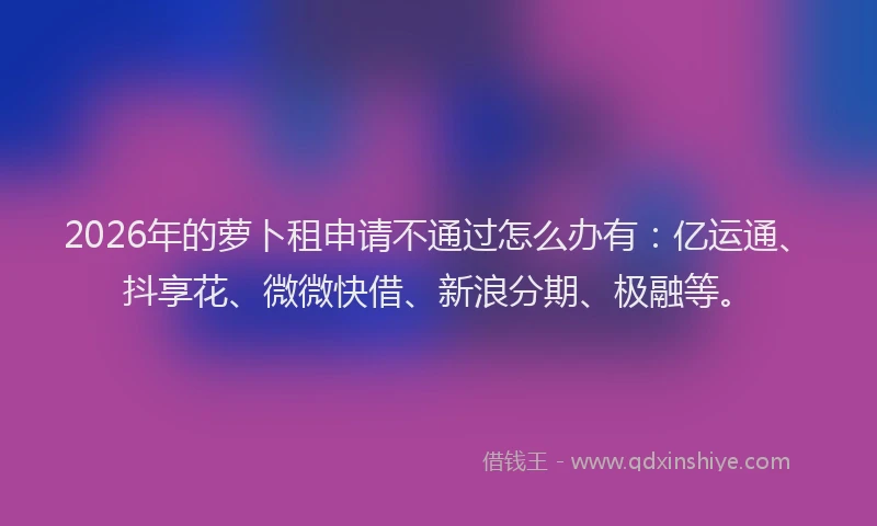 2026年的萝卜租申请不通过怎么办有：亿运通、抖享花、微微快借、新浪分期、极融等。