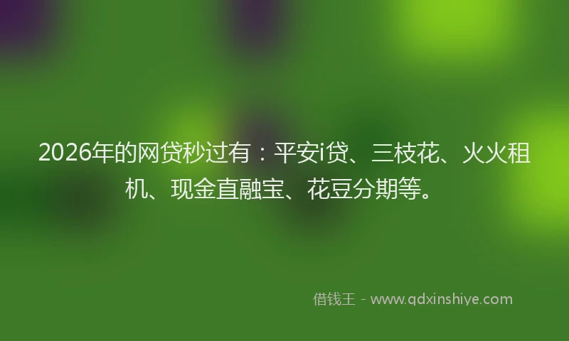 2026年的网贷秒过有：平安i贷、三枝花、火火租机、现金直融宝、花豆分期等。