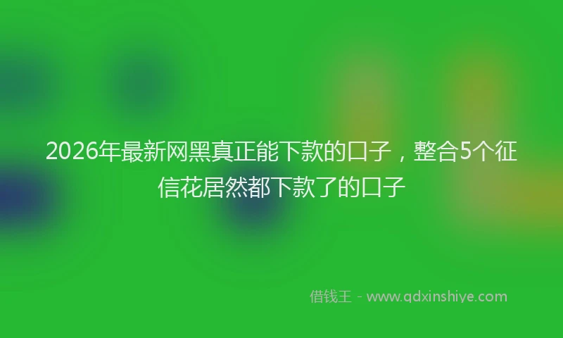 2026年最新网黑真正能下款的口子，整合5个征信花居然都下款了的口子